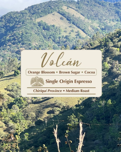 Volcan